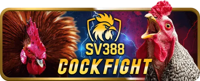 Các game thủ eSports đang thi đấu tại kinh33 đăng nhập
